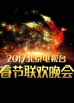 2017北京卫视春晚海报剧照