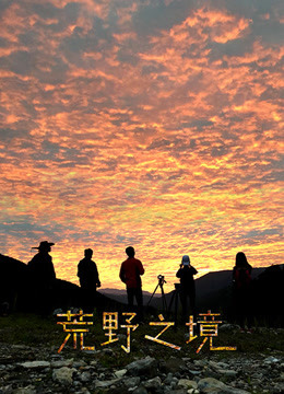荒野之境海报剧照