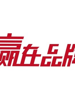 赢在品牌海报剧照