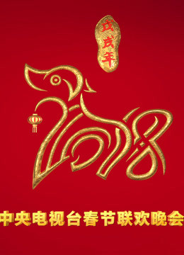 2018央视春晚海报剧照