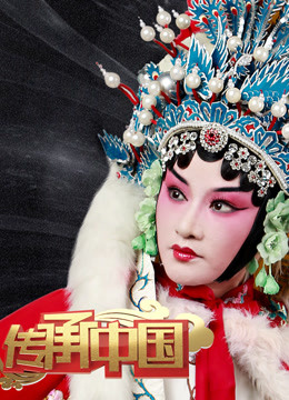 传承中国海报剧照