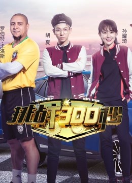 挑战300秒海报剧照