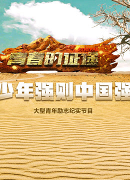 青春的征途海报剧照