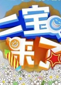 二宝来了海报剧照