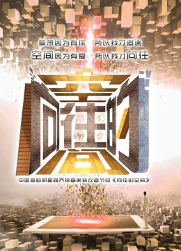 向往的空间海报剧照