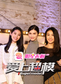 爱上超模第二季海报剧照
