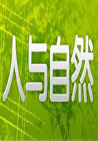 人与自然海报剧照