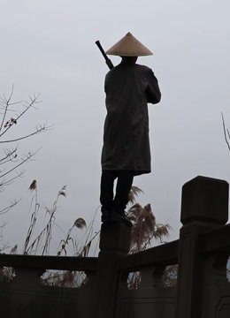 山药视频，您的美食专家海报剧照