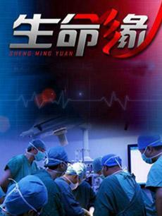 生命缘海报剧照