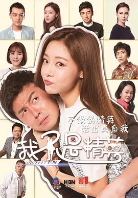 我不是精英TV版海报剧照