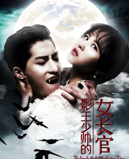 影王少帅的女长官海报剧照