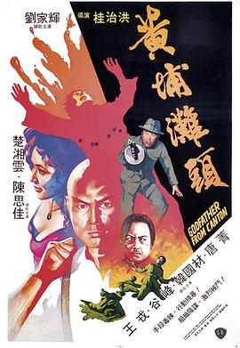 真情七日海报剧照
