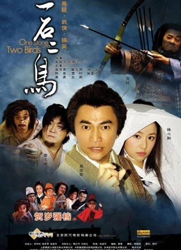 一石二鸟1海报剧照