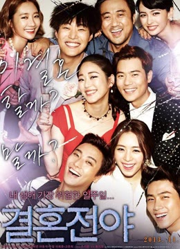 结婚前夜2013海报剧照