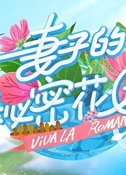 妻子的秘密花园海报剧照