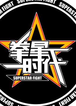 拳星时代海报剧照