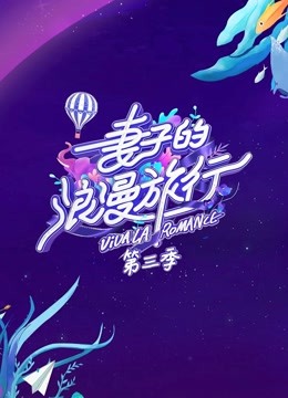 妻子的浪漫旅行3狗粮小铺海报剧照