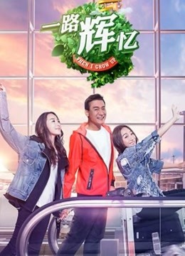 一路辉忆海报剧照