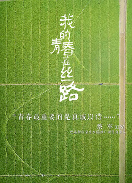 我的青春在丝路海报剧照