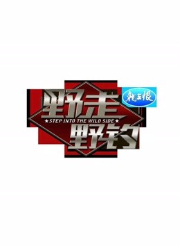 野走野钓海报剧照