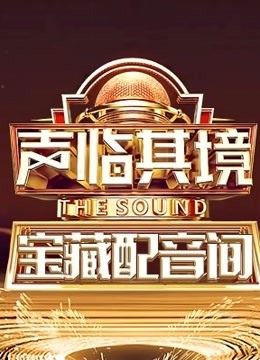 声临其境宝藏配音间海报剧照