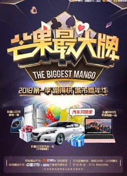 芒果最大牌海报剧照