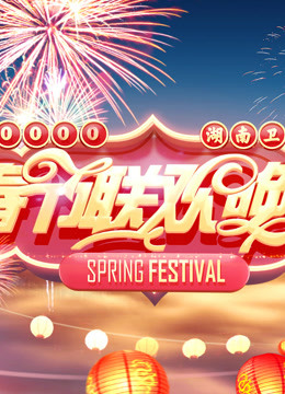 2014湖南卫视春晚海报剧照