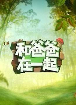 和爸爸在一起2014海报剧照