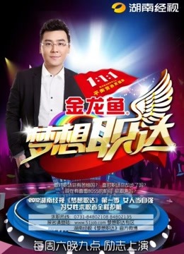 梦想职达2012海报剧照