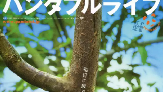 大熊猫的生活海报剧照