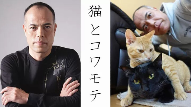 猫和凶相大叔海报剧照