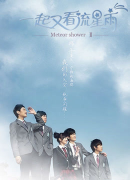 一起又看流星雨TV版海报剧照