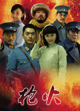 枪火海报剧照