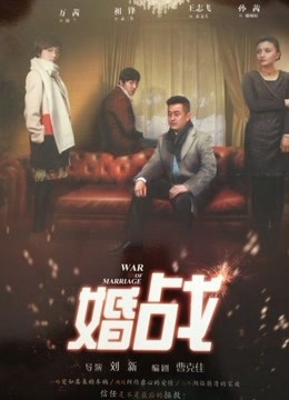 婚战海报剧照