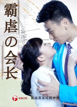 戴流苏耳环的少女海报剧照