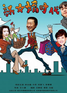 新女婿时代高清版海报剧照