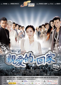 亲爱的，回家海报剧照