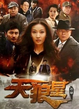 天狼星行动海报剧照