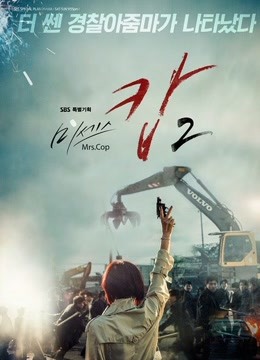 警察夫人第2季海报剧照