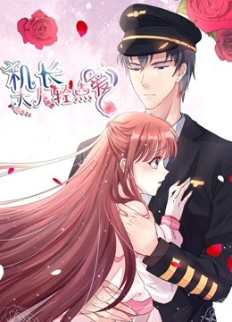 机长大人轻点爱第1季宠妻上天海报剧照