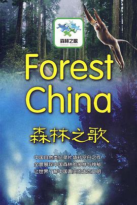 森林之歌海报剧照