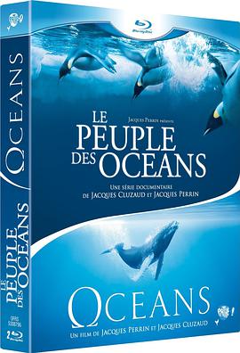 海洋王国第一季海报剧照