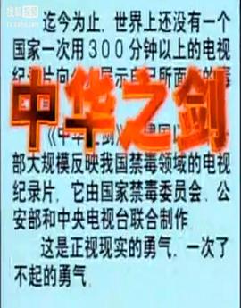 中华之剑海报剧照