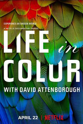 多彩生活LifeInColour海报剧照