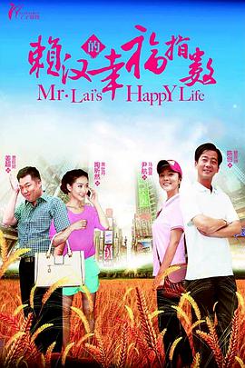 赖汉的幸福指数海报剧照