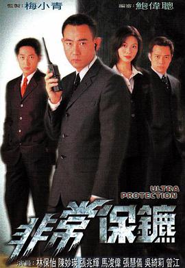 非常保镖国语海报剧照