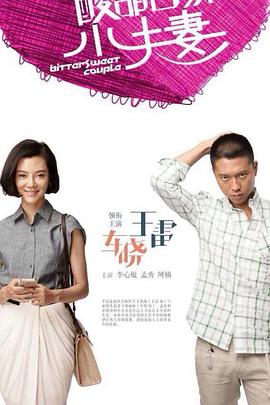 酸甜苦辣小夫妻海报剧照
