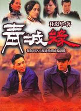 青城缘海报剧照