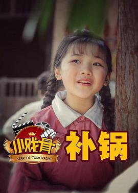 小戏骨补锅海报剧照
