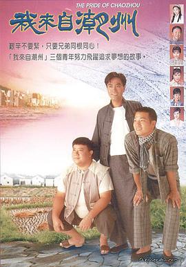 我来自潮州国语海报剧照